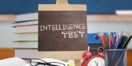 Intelligenz